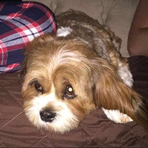 Meet your Posher, Bobby